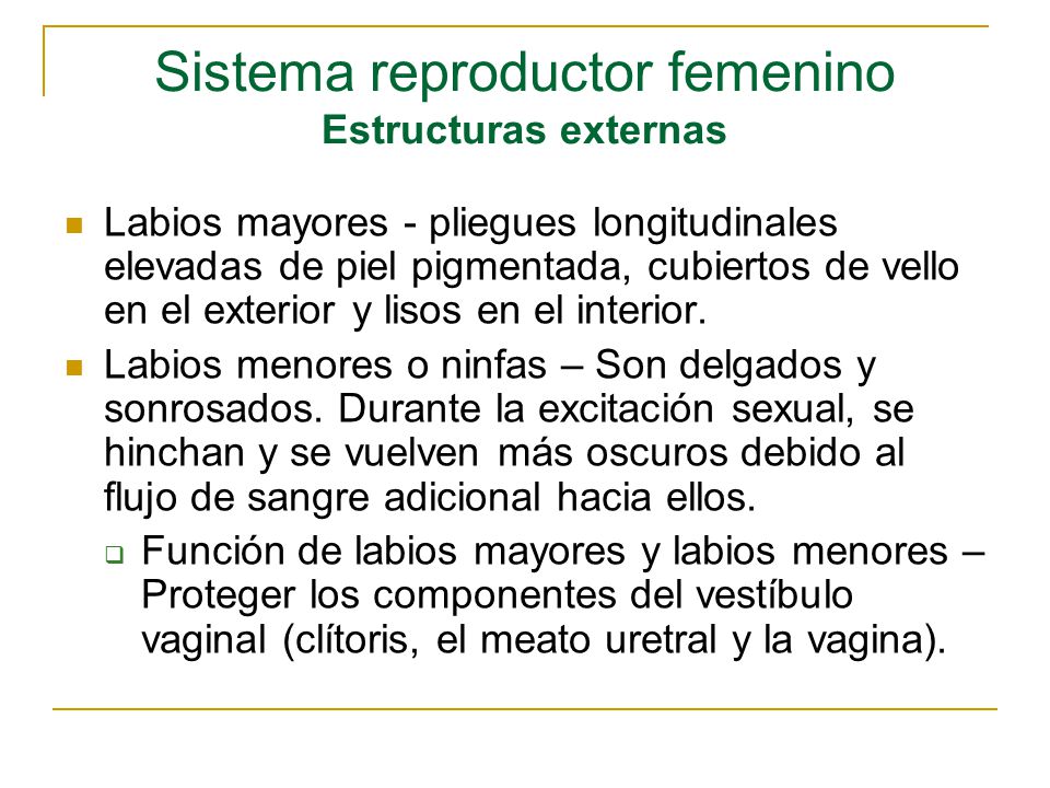Como aumentar el pene en una semana